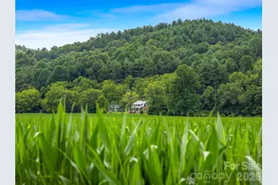 96 Merle Farm Lane, Pisgah Forest, NC 28768 - Photo 10