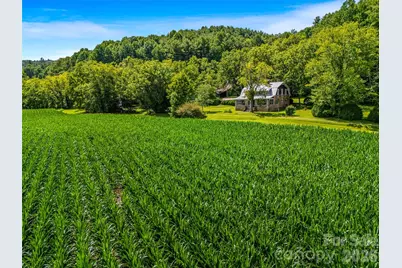 96 Merle Farm Lane, Pisgah Forest, NC 28768 - Photo 30