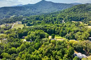 131 Ridge Rd, Candler, NC 28715 - Photo 40