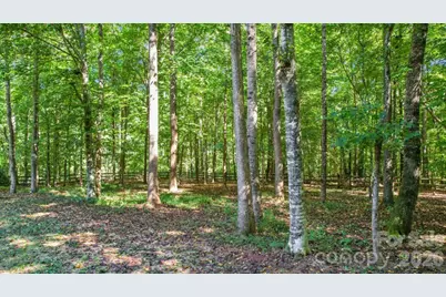 5919 Stonebridge Lane, Waxhaw, NC 28173 - Photo 46
