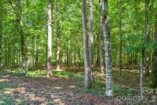 5919 Stone Bridge Ln, Waxhaw, NC 28173 - Photo 46