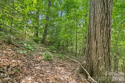 999 Perrion Avenue #18, Weaverville, NC 28787 - Photo 24