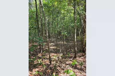 3249 York Street, Sharon, SC 29742 - Photo 10
