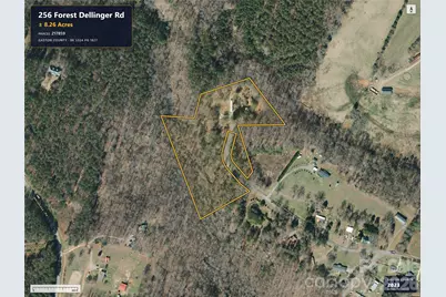 256 Forest Dellinger Road, Bessemer City, NC 28016 - Photo 2