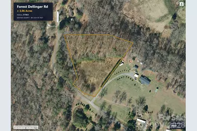 0 Forest Dellinger Road, Bessemer City, NC 28016 - Photo 2