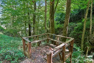 16 Wits End Way, Waynesville, NC 28785 - Photo 32