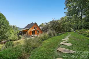 1000 Reems Cove Rd, Marshall, NC 28753 - Photo 6