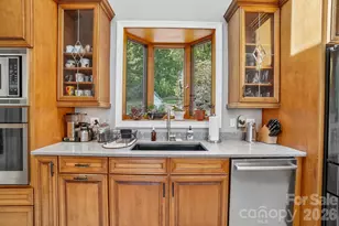 1000 Reems Cove Rd, Marshall, NC 28753 - Photo 36