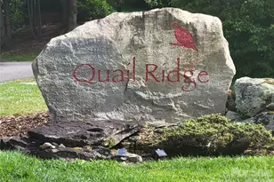 00 Quail Mountain Ln, Waynesville, NC 28786 - Photo 1