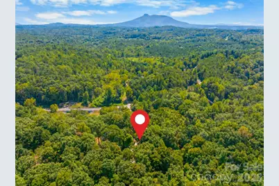 144 Cliff Side Trail, Pilot Mountain, NC 27041 - Photo 2