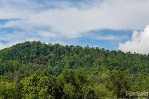 11 Cozy Cottage Wy, Arden, NC 28704 - Photo 40