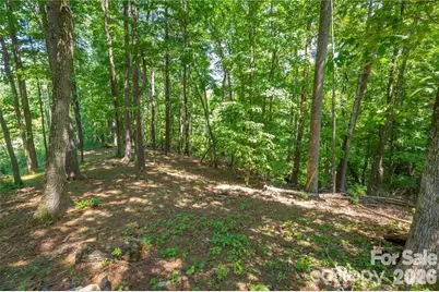 8520 Indian Trace, Nebo, NC 28761 - Photo 2