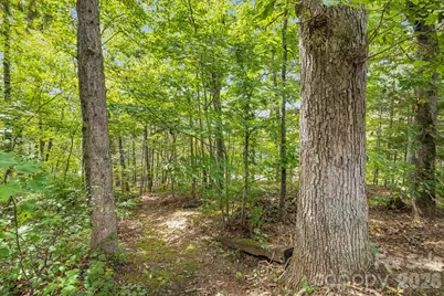 75 Cliffview Drive, Asheville, NC 28803 - Photo 40