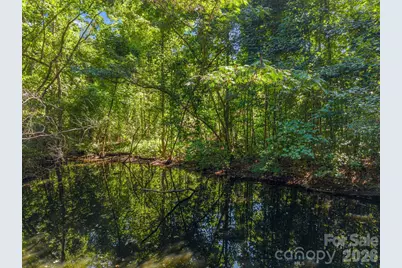 145 Stone Hedge Lane, Tryon, NC 28782 - Photo 44