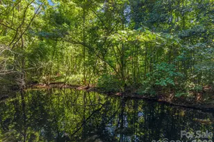 145 Stone Hedge Ln, Tryon, NC 28782 - Photo 44