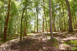 39 Maynard Rd, Candler, NC 28715 - Photo 40