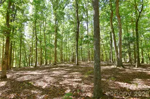 39 Maynard Rd, Candler, NC 28715 - Photo 38
