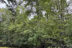 20 Pheasant Run Rd, Brevard, NC 28712 - Photo 18