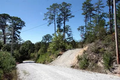 Lot 25 Round Mountain Road #25, Brevard, NC 28712 - Photo 4
