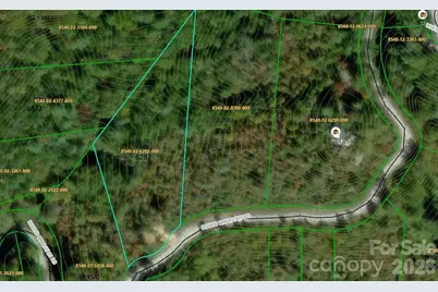 Lot 25 Round Mountain Road #25, Brevard, NC 28712 - Photo 10