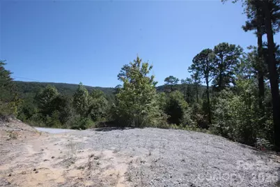 Lot 25 Round Mountain Road #25, Brevard, NC 28712 - Photo 6