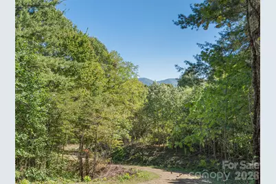 00 McNary Drive, Clyde, NC 28721 - Photo 16