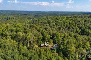 259 Travelers Rest Ln, Rutherfordton, NC 28139 - Photo 6