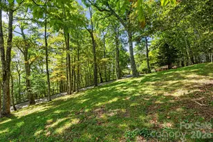342 Granny Lewis Ln, Mars Hill, NC 28754 - Photo 38