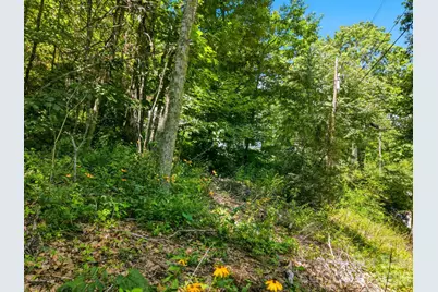 0 Eagles Nest Road #5, Waynesville, NC 28786 - Photo 6