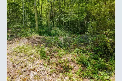 0 Eagles Nest Road #5, Waynesville, NC 28786 - Photo 10