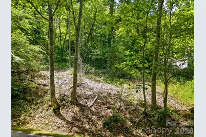 0 Eagles Nest Road #5, Waynesville, NC 28786 - Photo 4