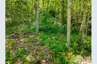0 Eagles Nest Road #5, Waynesville, NC 28786 - Photo 8