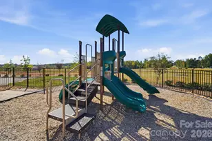 165 Apple Orchard Ct, Statesville, NC 28677 - Photo 48