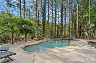 116 Willow Springs Trail, Mount Holly, NC 28120 - Photo 32