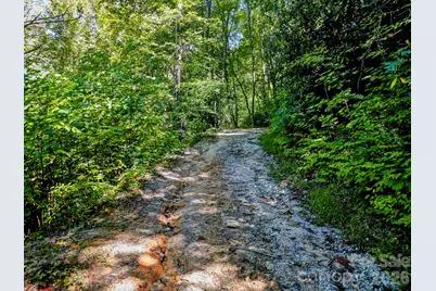 172 Rocky Top Ridge Drive, Fletcher, NC 28732 - Photo 8