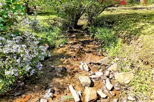 57 Pebble Dr, Whittier, NC 28789 - Photo 4