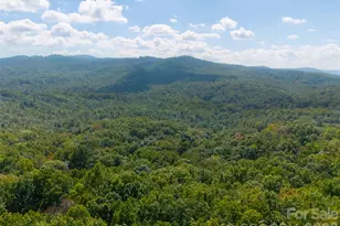 172 Clock Crest Dr, Pisgah Forest, NC 28768 - Photo 48