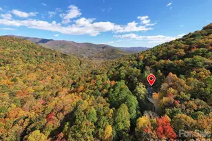 18 Wood Haven Ln, Black Mountain, NC 28711 - Photo 4