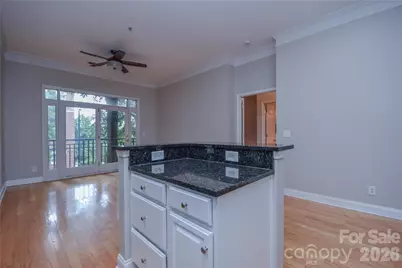 727 Garden District Drive, Charlotte, NC 28202 - Photo 4