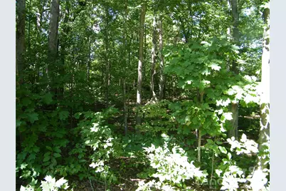 0 Chippewa Trail, China Grove, NC 28023 - Photo 1