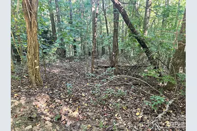 Tbd Mt Hebron Road #36, Hendersonville, NC 28739 - Photo 2
