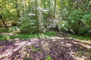 14010 Wild Elm Rd, Charlotte, NC 28277 - Photo 40