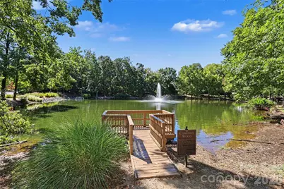 9931 Deer Spring Lane, Charlotte, NC 28210 - Photo 44