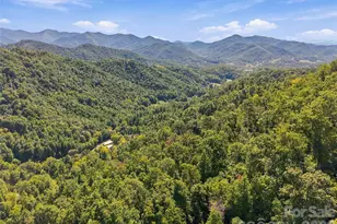 360 Poverty Branch Rd, Barnardsville, NC 28709 - Photo 32