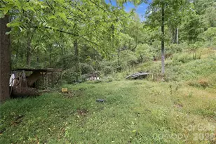 360 Poverty Branch Rd, Barnardsville, NC 28709 - Photo 12