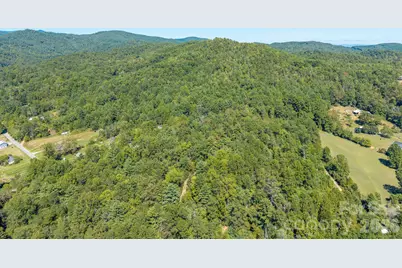 Tbd Old Little Mountain Road, Pisgah Forest, NC 28768 - Photo 10