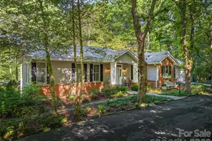2509 Little River Rd, Hendersonville, NC 28739 - Photo 2