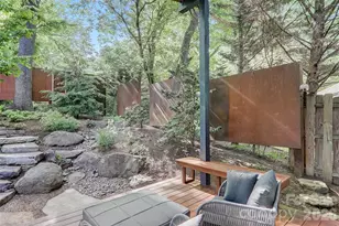 10 Cornelia St, Asheville, NC 28801 - Photo 38