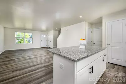 117 Crownpiece Street, Troutman, NC 28166 - Photo 10