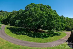 733 Dogwood Ln, Blowing Rock, NC 28605 - Photo 8